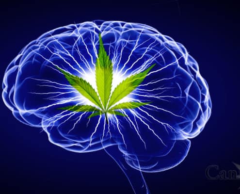 Illustration of a sapphire blue brain with a green cannabis leaf superimposed. The center of the brain is white with lightning bolts emitting from the cannabis leaf appearing to represent electrical impulses.