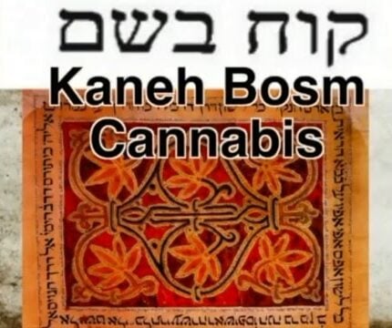 Image of Hebrew text spelling out the word "Kaneh Bosm". In English below is written "Kaneh Bosm and Cannabis".